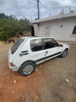 voitures-peugeot-205-1985-bouzeghaia-chlef-algerie