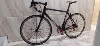 velos-velo-carbon-cours-zeralda-alger-algerie