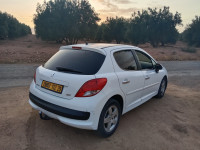 voitures-peugeot-207-2012-ain-fekan-mascara-algerie