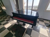 instruments-de-musique-vend-piano-professionnel-yamaha-14-queu-hydra-alger-algerie