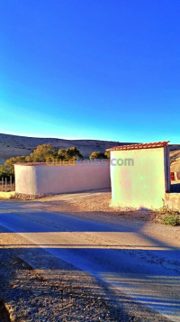 terrain-vente-agricole-ain-temouchent-algerie