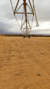 Pivot 20 ha 