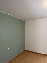 بناء-و-أشغال-peintre-الجزائر-وسط