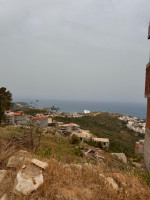 terrain-vente-annaba-algerie