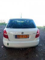 voitures-skoda-fabia-2014-ambition-souk-el-thenine-bejaia-algerie