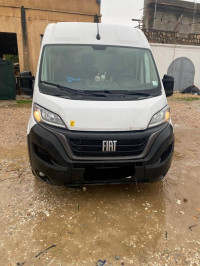 fourgon-fiat-ducato-2023-guelma-algerie