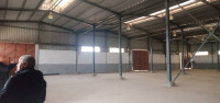 hangar-location-blida-boufarik-algerie