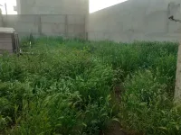 Vente Terrain Alger Douera