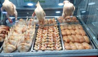 سياحة-و-تذوق-الطعام-كاليتوس-الكاليتوس-الجزائر