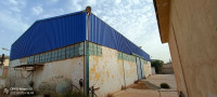 hangar-location-oran-hassi-bounif-algerie