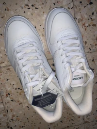 Basquette lacoste