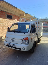 camion-h100-djemaa-beni-habibi-jijel-algerie