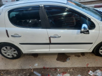 voitures-peugeot-207-2007-chlef-algerie