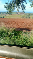 terrain-agricole-vente-tipaza-ain-tagourait-algerie