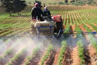 Cherche achat Terrain Agricole Alger Zeralda