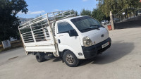 camion-kia-k3000-2008-tizi-ouzou-algerie