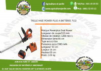 jardinage-taille-haie-power-plus-electrique-hussein-dey-alger-algerie