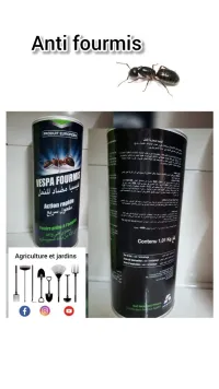 Anti fourmis Vespa
