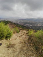 terrain-vente-bejaia-algerie