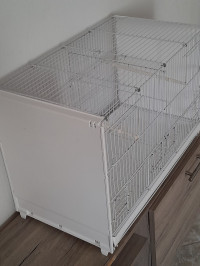 accessoire-pour-animaux-cage-oiseaux-beni-messous-alger-algerie