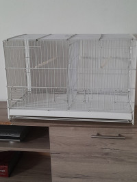 accessoire-pour-animaux-cage-oiseaux-beni-messous-alger-algerie