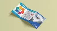 Infographe graphic designer 