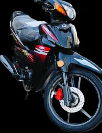 Sym Magic 110 2025