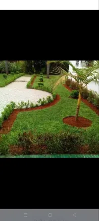 gazon naturel