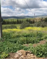 terrain-agricole-vente-bordj-bou-arreridj-el-achir-algerie