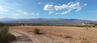 terrain-agricole-vente-bejaia-boudjellil-algerie