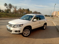 voitures-volkswagen-tiguan-2014-les-eucalyptus-alger-algerie