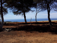 terrain-vente-tipaza-sidi-rached-algerie