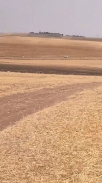 أرض-فلاحية-بيع-سطيف-عين-أرنات-الجزائر