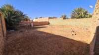 terrain-vente-ghardaia-zelfana-algerie