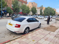 voitures-skoda-octavia-2019-business-djelfa-algerie