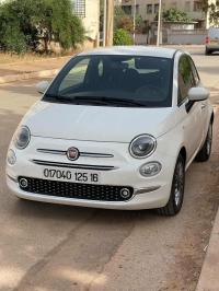 سيارات-fiat-500-2025-وهران-الجزائر