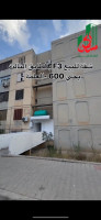 appartement-vente-setif-el-eulma-algerie