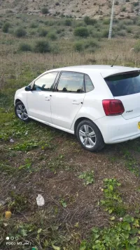 Volkswagen Polo 2011 Team