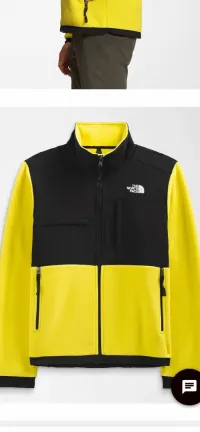 The north face 