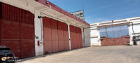 hangar-vente-blida-bouinan-algerie