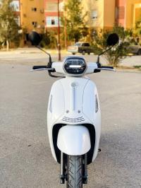 motos-et-scooters-panarea-vms-beneli-2022-batna-algerie