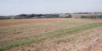 terrain-agricole-vente-bouira-el-hachimia-algerie