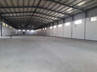 hangar-location-blida-beni-tamou-algerie