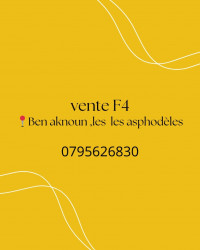 appartement-vente-f4-alger-ben-aknoun-algerie