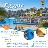 voyages organisé Egypte