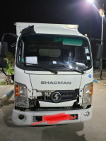 camion-shacman-x9-2019-boumerdes-algerie