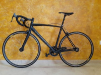 autre-specialized-original-ouargla-algerie