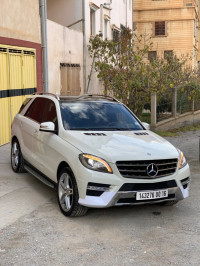 voitures-mercedes-ml-2013-250-cdi-pack-amg-bordj-bou-arreridj-algerie