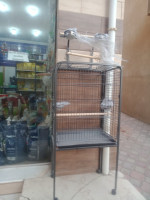 accessoire-pour-animaux-cage-perroquet-kolea-tipaza-algerie