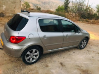 moyenne-berline-peugeot-307-2006-xt-tassadane-haddada-mila-algerie